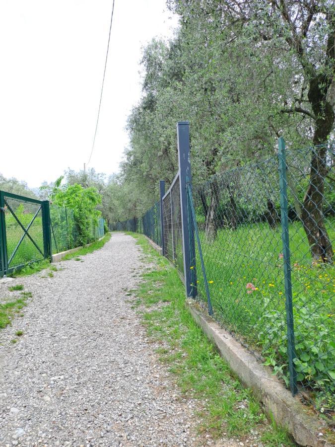 מאלצ'סינה Appartamento Ciclamino מראה חיצוני תמונה