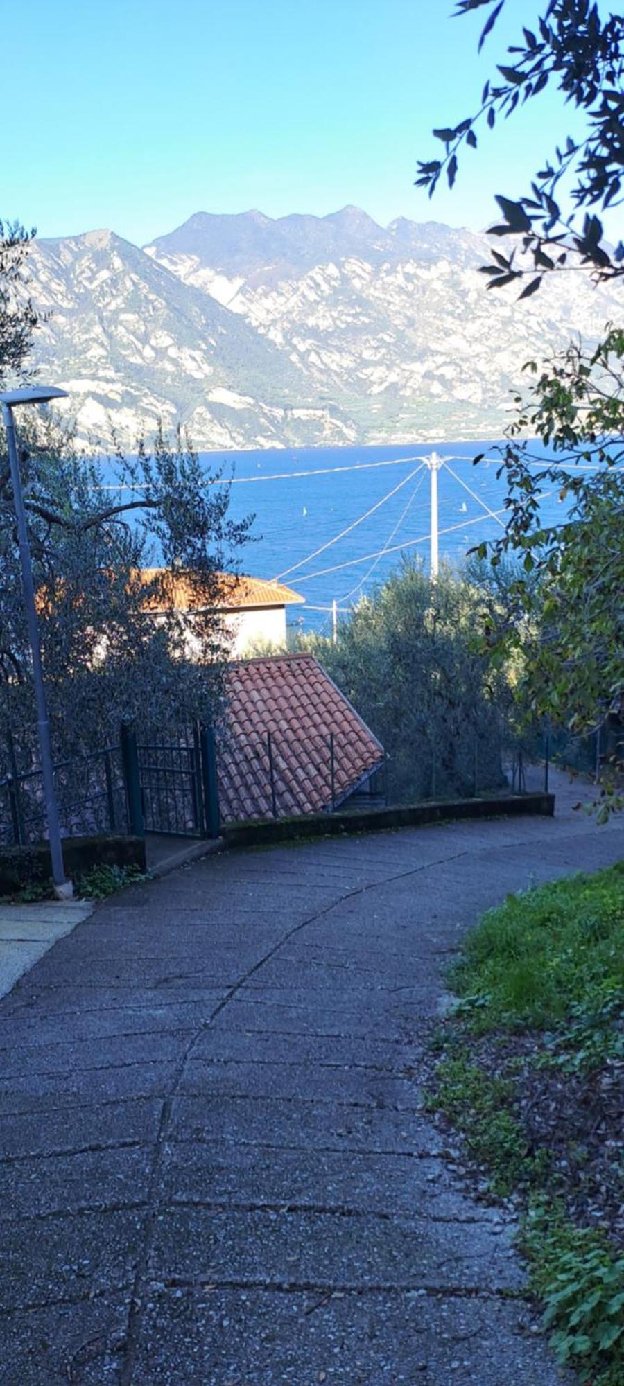מאלצ'סינה Appartamento Ciclamino מראה חיצוני תמונה